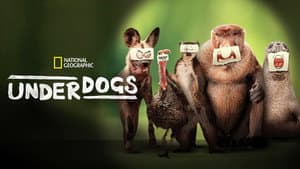 Underdogs — foto 6
