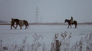 Les maudits sauvages — foto 2