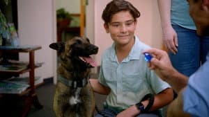 R.A.D.A.R.: El Perro Biónico — foto 2