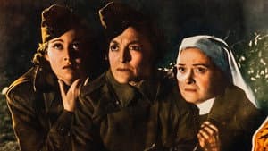 Women in War — foto 1