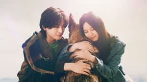 少年と犬 — foto 1