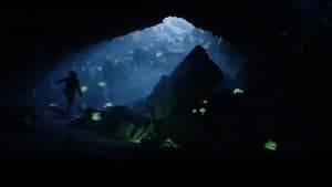 Alien Country — foto 1