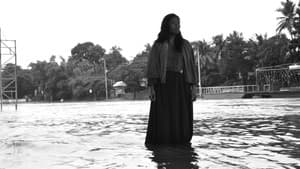 Elehiya sa Dumalaw Mula sa Himagsikan — foto 2