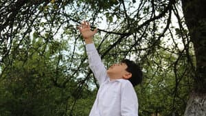 ظلال يوغسلافيا — foto 1