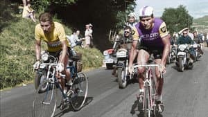 Poulidor 1er — foto 1