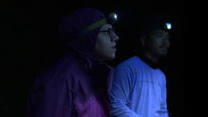Nocturnes — foto 2
