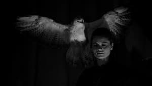 La violación de la vampira — foto 6