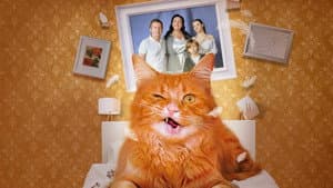 Котострофа — foto 1