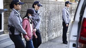 어린 의뢰인 — foto 3