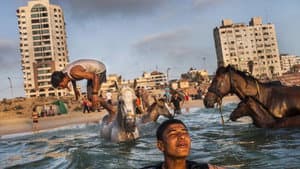 Gaza — foto 1