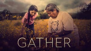 Gather — foto 4