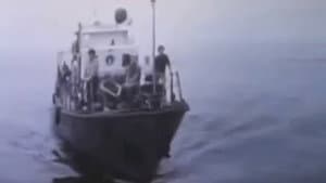 Mezozoy Əhvalatı — foto 1