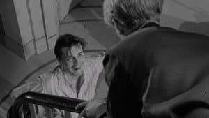 The Servant — foto 8