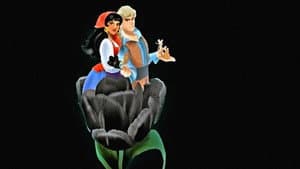 The Black Tulip — foto 1