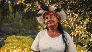 Mulheres da Terra — foto 1
