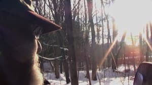 I've Seen Bigfoot — foto 1
