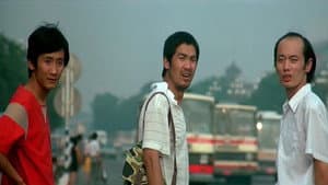 顽主 — foto 1