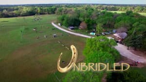 Unbridled — foto 2