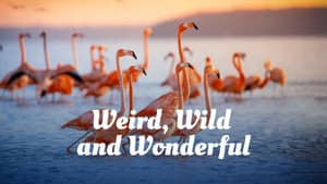 Weird, Wild, and Wonderful — foto 2