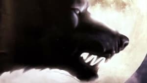 Episodio 9