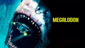 Megalodon — foto 3