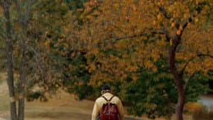 The Forest — foto 1
