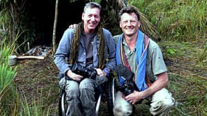 Birds of Paradise: The Ultimate Quest — foto 1