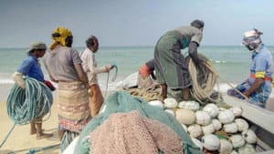 Wem gehört das Meer? Ocean Grabbing - Die neue Meeresordnung — foto 1