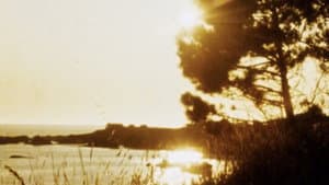 Matter of Clarity — foto 2