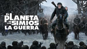 El Planeta de Los Simios 3: La Guerra — foto 3