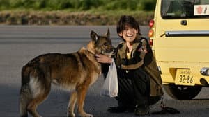 少年と犬 — foto 2