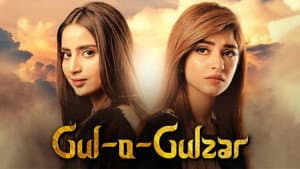 Gul-o-Gulzar — foto 2