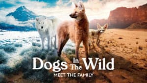 Dogs in the Wild: Meet the Family — foto 5