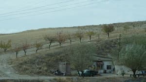 Şiddetin Gölgesi — foto 1