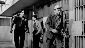 Revolt in the Big House — foto 2