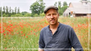Frank & Kastaniegaarden — foto 4