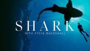 Shark with Steve Backshall — foto 7