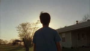 Spark — foto 2