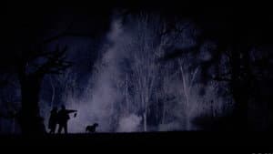 The Hollow Tree — foto 1