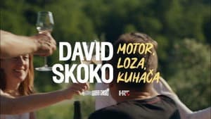 David Skoko: Motor, loza, kuhača — foto 3