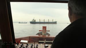 Sarmaşık — foto 6