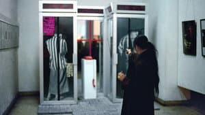 七宗罪——中国现代艺术展上的七个行为艺术 — foto 1
