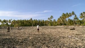 ThuleTuvalu — foto 6