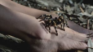 Tarantulas: The Deadly Cargo — foto 3