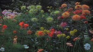 Geschichten übern Gartenzaun — foto 1