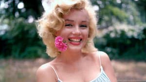 Goodbye, Norma Jean — foto 2