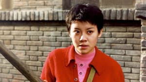过年回家 — foto 2