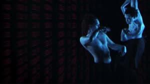Binary Samurai — foto 2