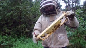 The Bearded Beekeeper — foto 1