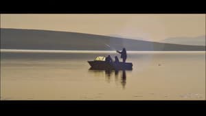 Big Fish - Цэвэрлэгээ — foto 2